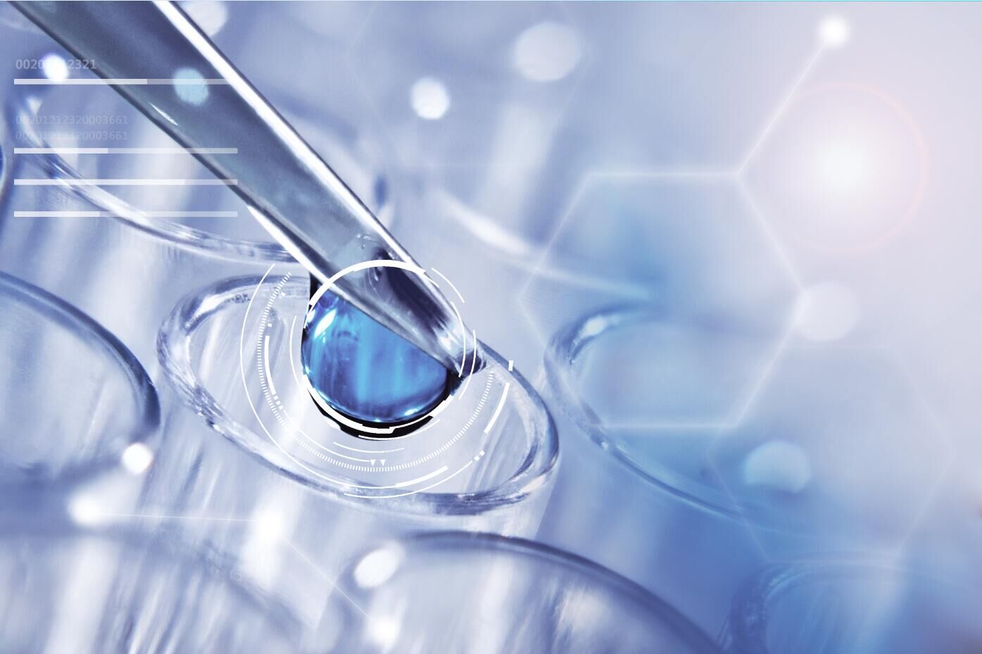 今年前三季度我國中藥外貿(mào)平穩(wěn)發(fā)展