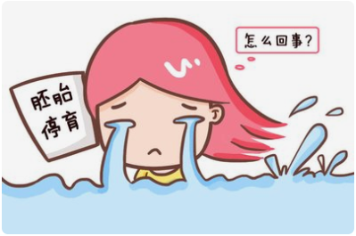 好好的胚胎怎么就停育了呢？